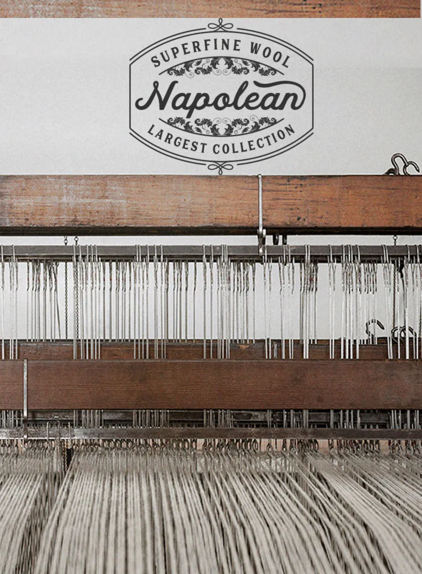 Napolean Zole Stripe Blue Wool Pants